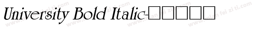 University Bold Italic字体转换